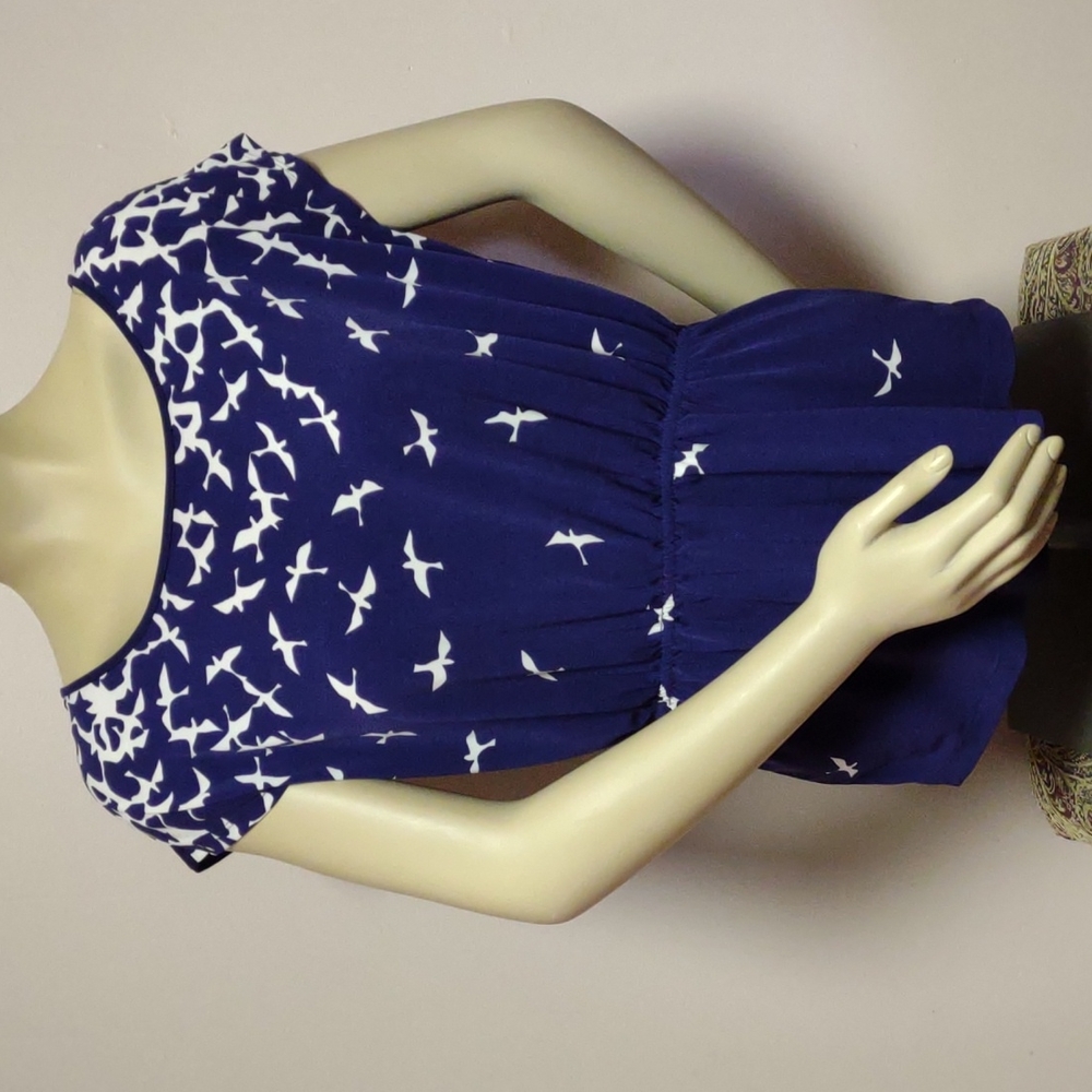 The Limited Small Short Sleeve Blouse